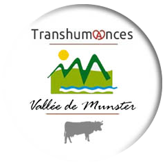Transhumances Munster