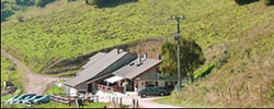 Transhumance avec la ferme auberge Strohberg
