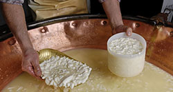 Fromageries Vallée de Munster