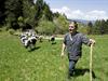 Fête de la transhumance 2015