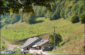 Transhumance avec la ferme auberge Strohberg